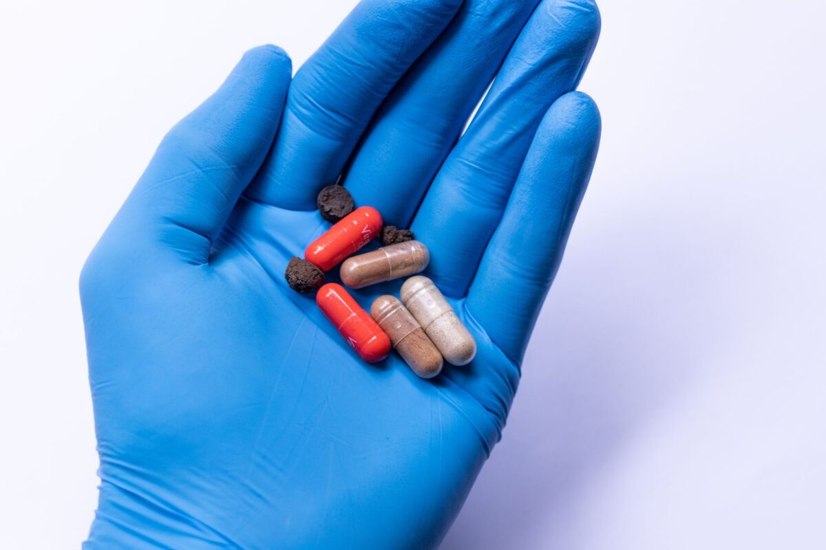microbiote intestinal il digestion métabolisme produit