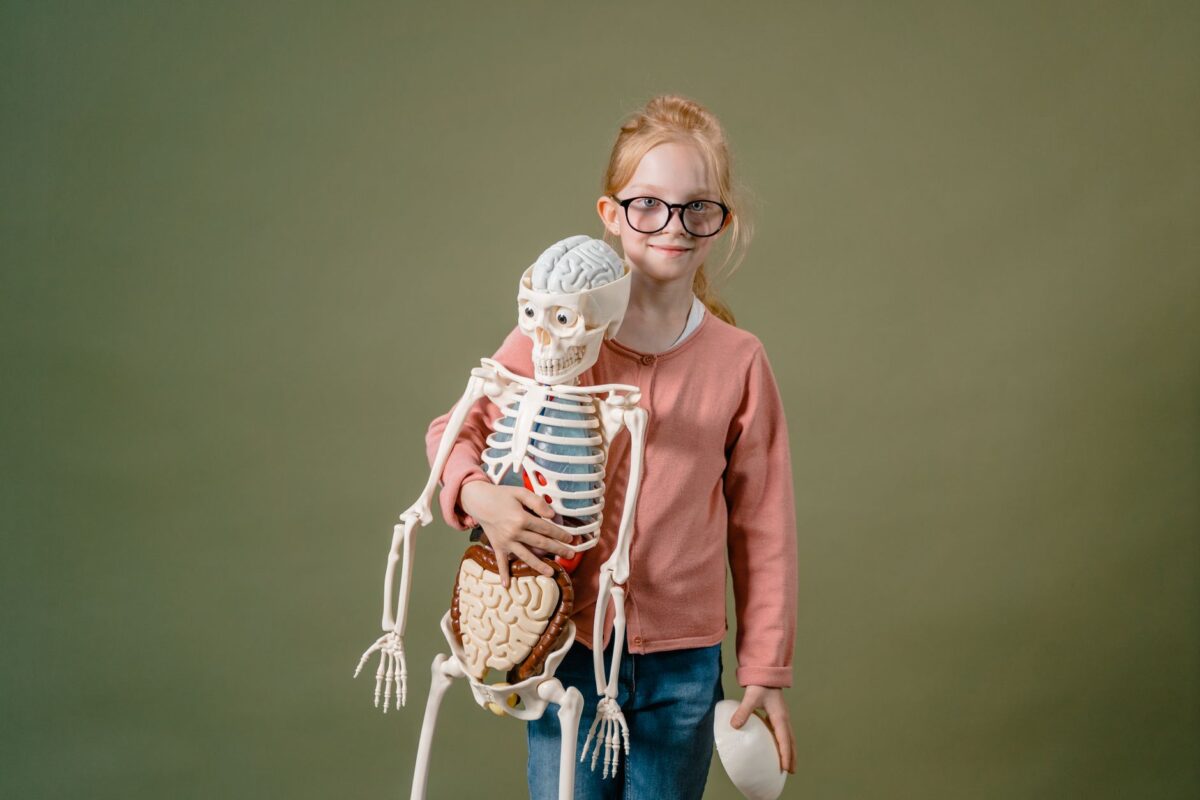microbiote intestinal il fonctions biologiques rendent