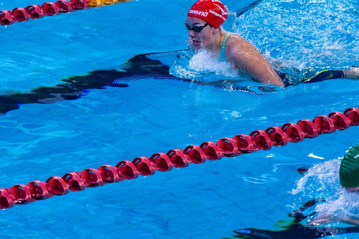 natation muscles zones crawl brasse