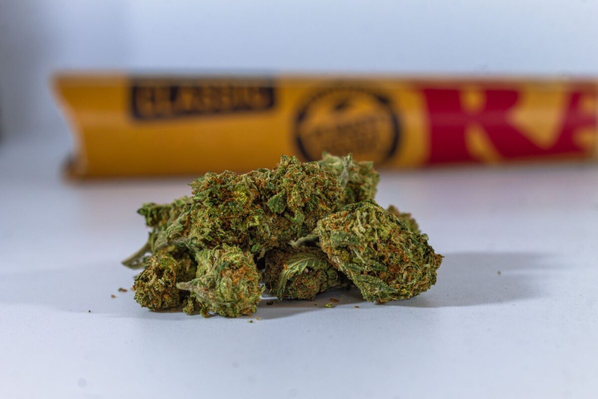 fleur cbd repères erreurs fréquentes éviter